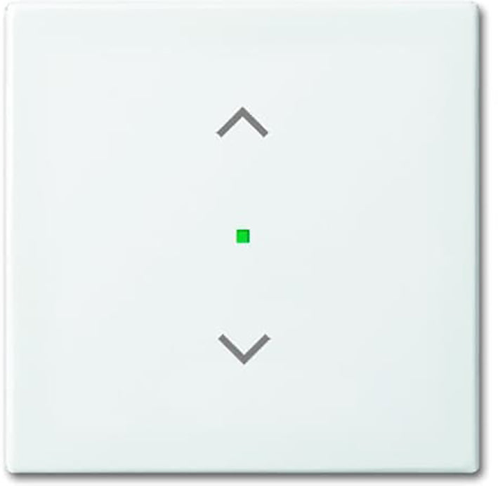 ABB Busch-Jaeger Busch-FreeAtHome Bedienelement/Zentralplatte Schaltgerät - 2CKA006220A0357 [2 Stück]