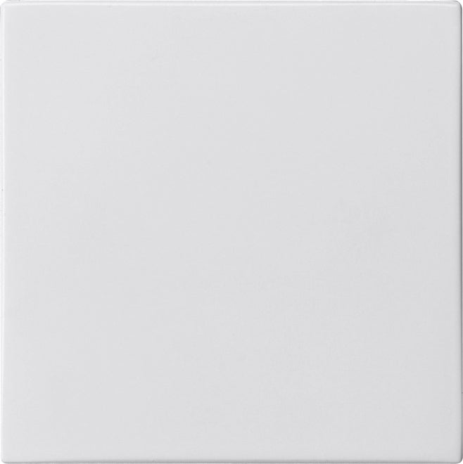 Gira Plug & Light Downlight/Spotlight/Flutlicht - 2698102
