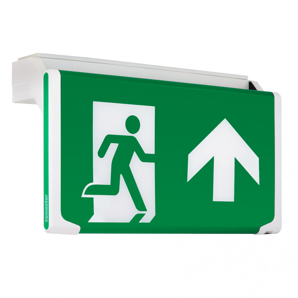 Famostar D-Sign Notbeleuchtungsleuchte - 393803