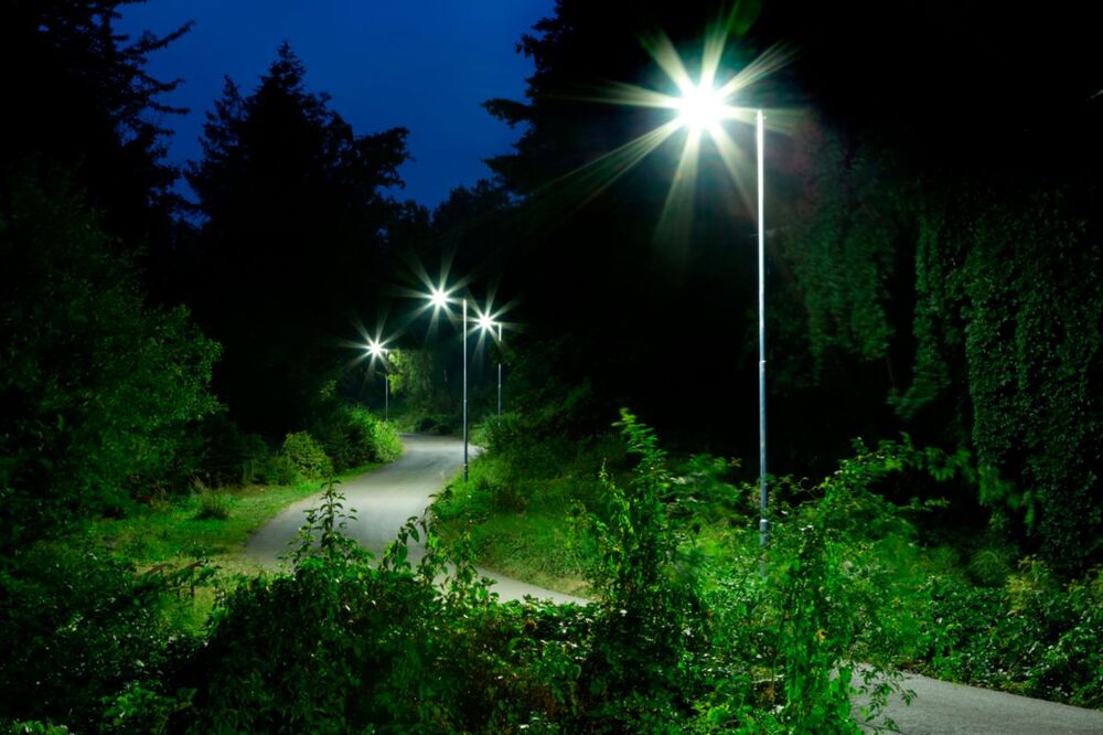 Philips TrueForce Core LED-lamp - 75033600