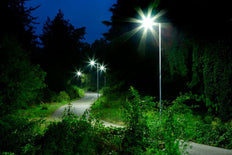 Philips TrueForce Core LED-lamp - 75033600