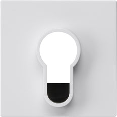 Gira System 55 Key Switch With Button Without Imprint White - 866403
