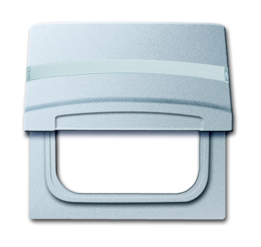 ABB Busch-Jaeger Adapterplatte mit Text IP44 Aluminium - 2CKA001710A3787