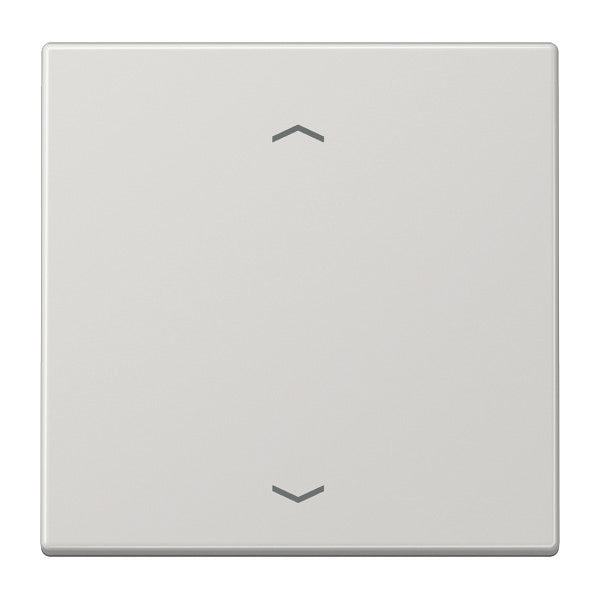 Jung EnOcean Wireless Wall Transmitter With Symbols - ENOLS990PLG