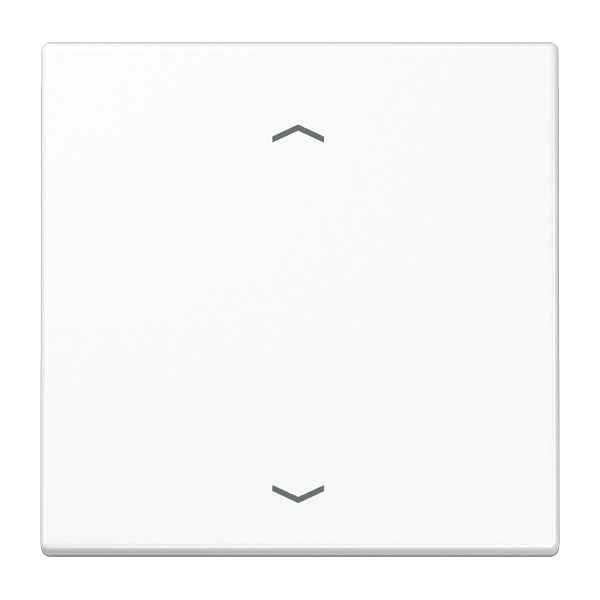 Jung EnO LS 990 A Wireless Wall Transmitter With Symbols - ENOLS990PWW