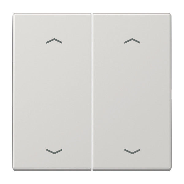 Jung EnO Funk Wandsender LS990 4-Kanal mit Symbolen - ENOLS995MPLG