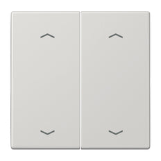 Jung EnO Funk Wandsender LS990 4-Kanal mit Symbolen - ENOLS995MPLG