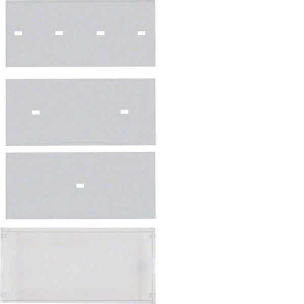 Berker Clear Transparent Glass Label Field With Cover Plate B.7 - 75960009 [2 pieces]