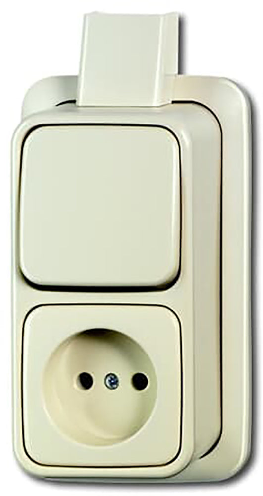 ABB Busch-Jaeger Kombi-Schalterplatte Steckdose - 2CKA001642A0157