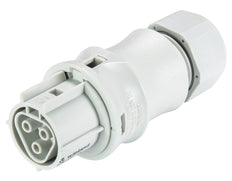 Wieland RST Classic Stecker 3P Buchse - 96.031.0053.0