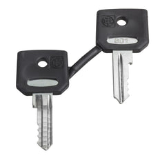 Schneider Electric Ronis 455 Schlüsselset Mit Schutzhülle - ZBG455P
