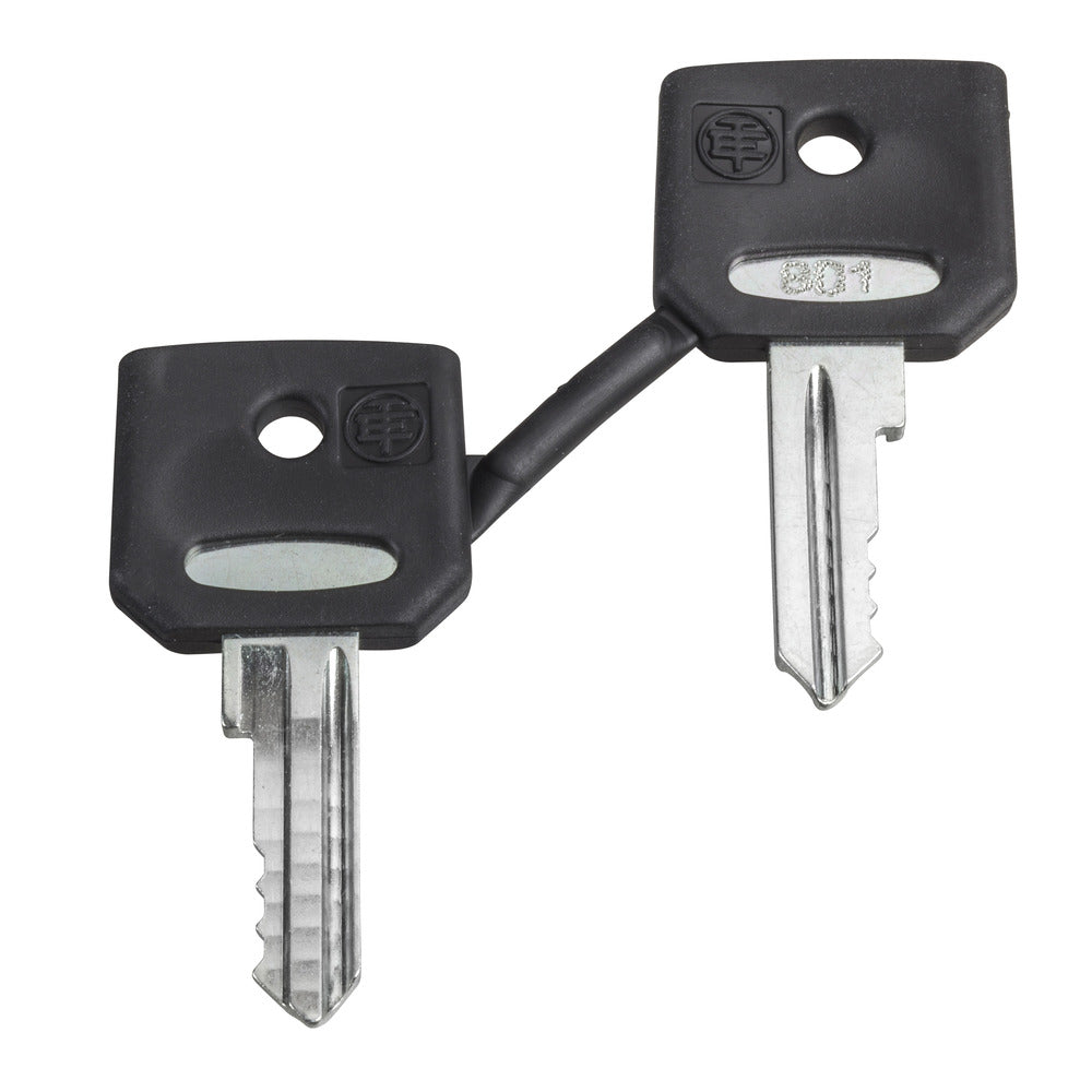 Schneider Electric Harmony ZB 421E Ersatzschlüssel Set - ZBG421E