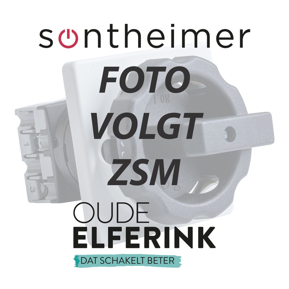 Sontheimer 25A 4-poliger Hauptschalter Mit Zylinder-Vorhängeschloss-Befestigung - A530096