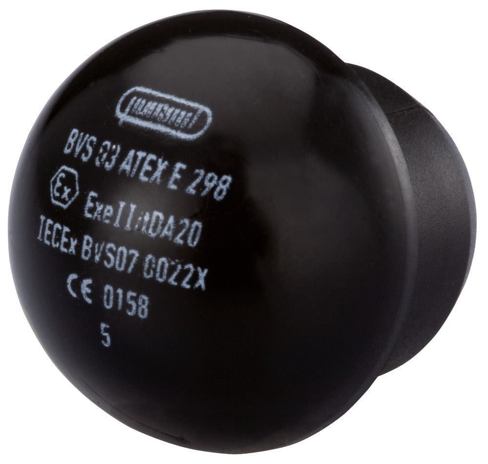 HSK V EX Series Blind Plug M20x1.5 - 1296130161 [2 Pieces]