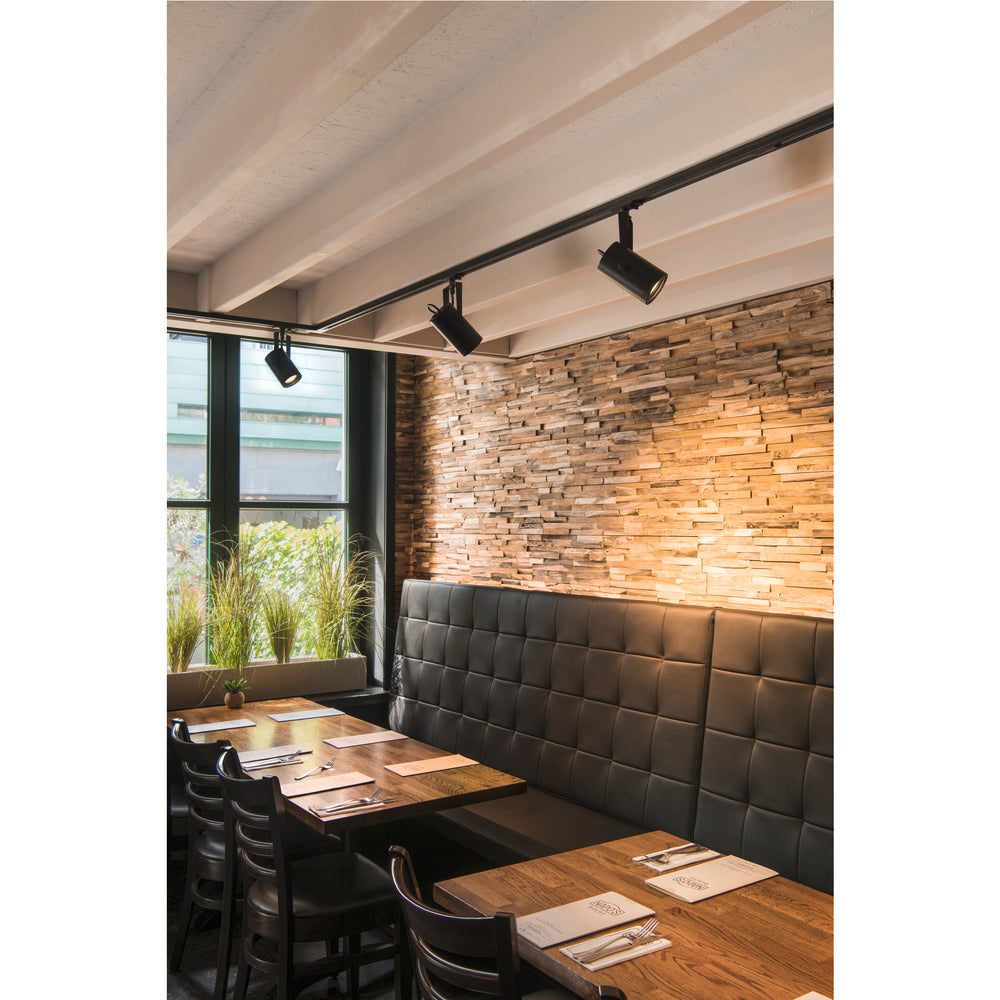 Slv Euro Spot Schiene Schwarz Gu10 25W Einzelkreis - 1001861