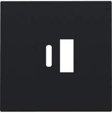 Niko Doppelter Smarter Usb-A Und Usb-C Ladegerät Abdeckung Schwarz - 161-68002