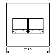 LS Serie Doppelte Modulare Jack Abdeckung Edelstahl - ES1969-2WE