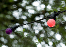Bailey Led Partyball G45 E27 1W Lila - 143329 [2 Stück]