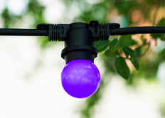 Bailey Led Partyball G45 E27 1W Lila - 143329 [2 Stück]