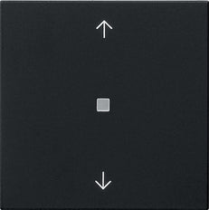 Gira Enet Drahtlose Pfeilsteuerungseinheit Schwarz Matt - 5494005