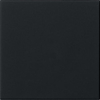 Gira System 55 Schwarz Matt Leere Wippe Schalter - 5372005