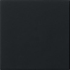 Gira System 55 Schwarz Matt Leere Wippe Schalter - 5372005