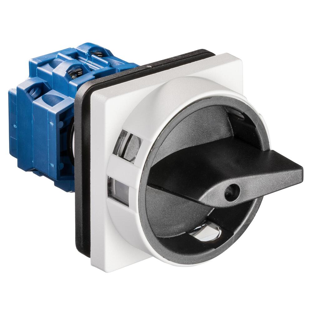 Kraus & Naimer KG10 2-poliger Hauptschalter 16A IP66 - 70009858
