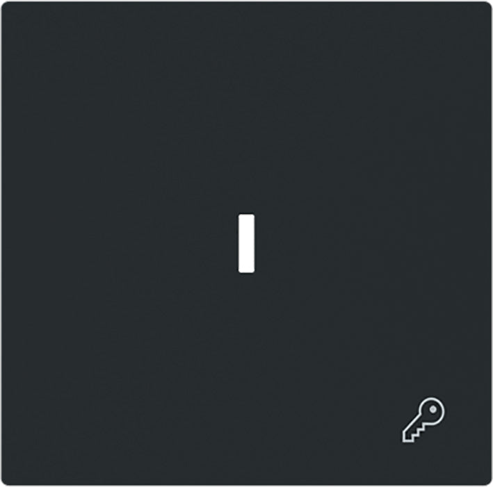 ABB Busch Schlüssel Symbol Wippenschalter Abdeckung Schwarz Matt - 2CKA001751A3380
