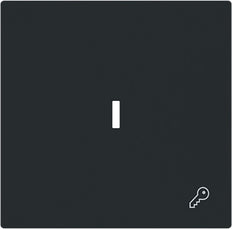 ABB Busch Schlüssel Symbol Wippenschalter Abdeckung Schwarz Matt - 2CKA001751A3380