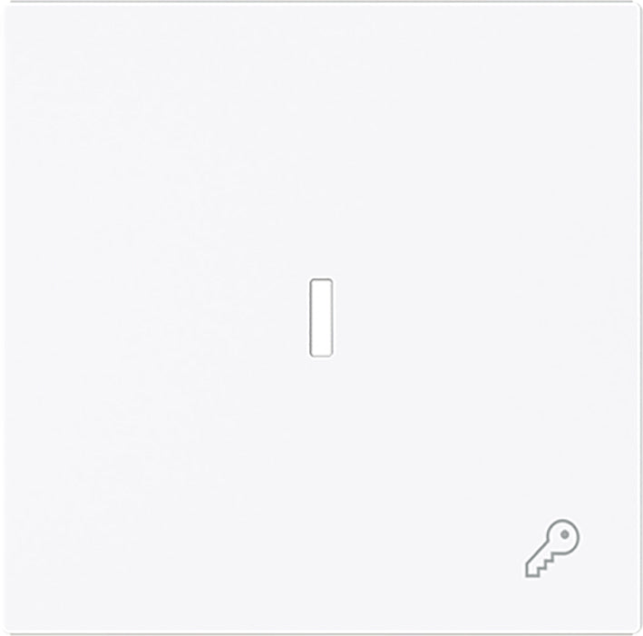 ABB Busch Einzelne Wippenschalter Mit Schlüssel Symbol Und Linse - 2CKA001751A3377
