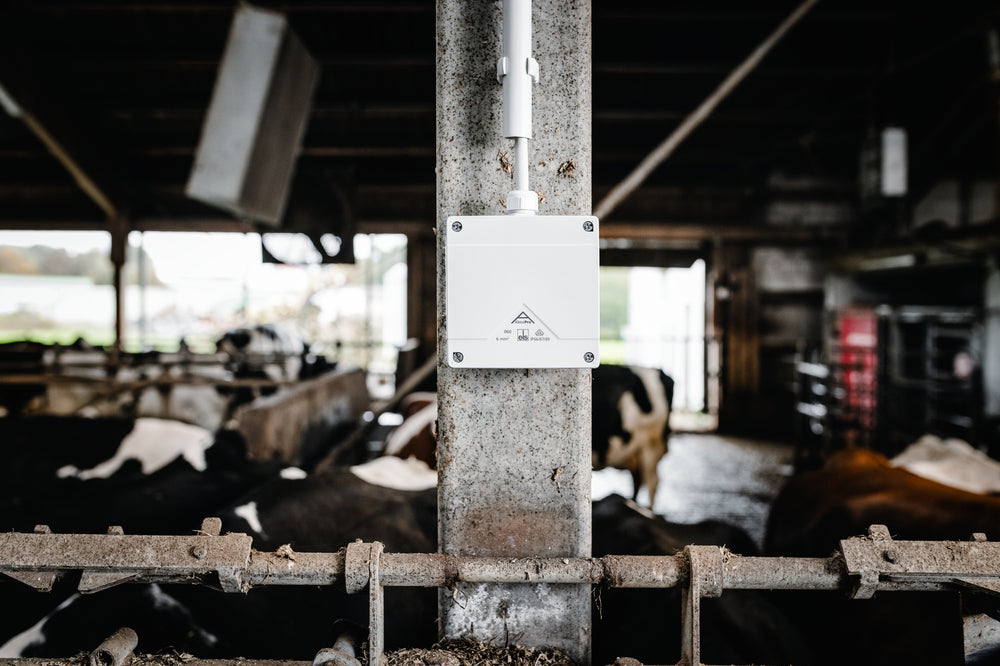 Spelsberg Pro Verbindungsdose IP69 Schwarz - 40600001