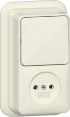 Gira Surface Mount 2-Pole Switch Socket Combo Cream White - 447610