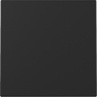 Gira System 55 Matt Schwarzer Wippschalter - 3296005
