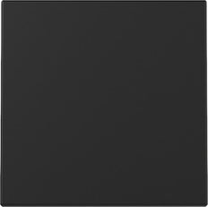 Gira System 55 Matt Schwarzer Wippschalter - 3296005