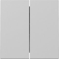 Gira System 55 Doppelwippschalter Grau Matt - 3295015