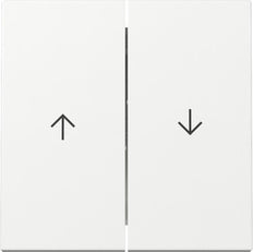 Gira System 55 Dual Rocker Switch With Arrow Symbol - 329403