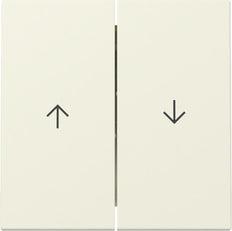 Gira System 55 Doppelwippenschalter Mit Pfeilsymbol - 329401