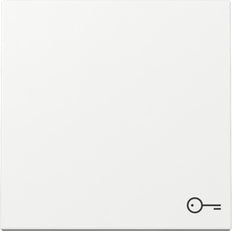Gira System 55 Türsymbol Wippschalter Rein Weiß - 328703 [2 Stück]