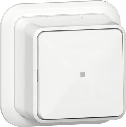 Gira 2-Way Rocker Switch With Control Window 10A 250V - 315611