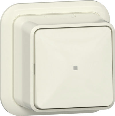 Gira Aufputz Drucktaster Schalter Mit Kontrollfenster - 315210