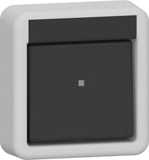 Gira Kreuzschalter Rocker 10AX 250V Grau - 310735