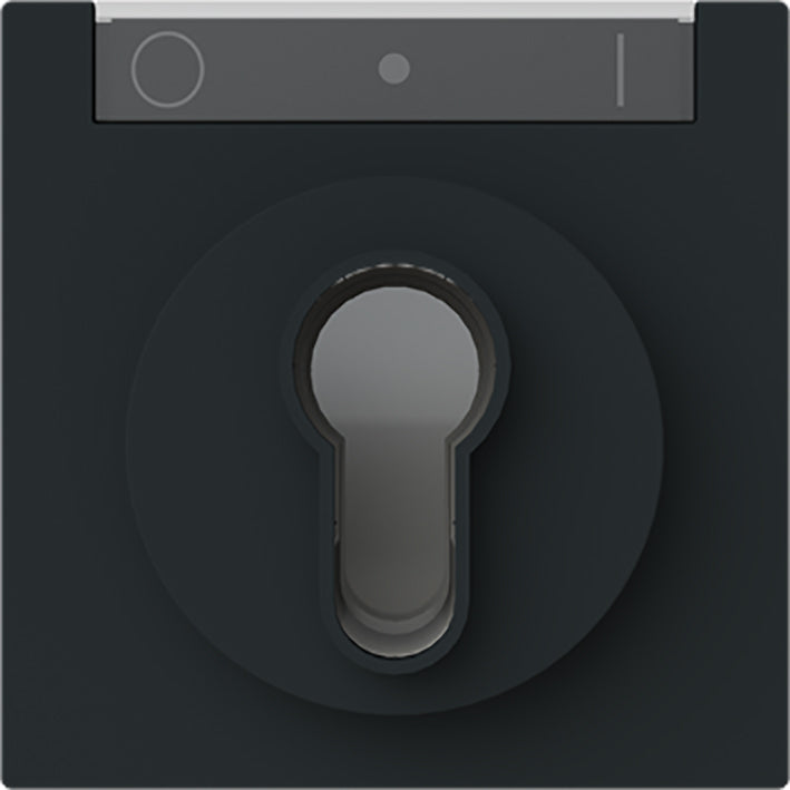 ABB Busch-Jaeger Schlüssel Schalter Steuerplatte IK03 Schwarz - 2CKA001710A4160