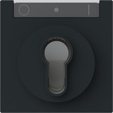 ABB Busch-Jaeger Schlüssel Schalter Steuerplatte IK03 Schwarz - 2CKA001710A4160