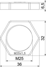 M25 Polyamid Metrische Sicherungsmutter RAL 7001 Silbergrau - 2048787 [20 Stück]