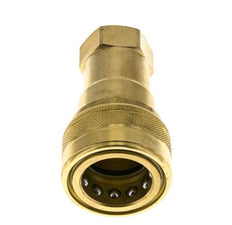 Messing DN 20 Hydraulikkupplung Muffe 3/4 Zoll NPT-Innengewinde ISO 7241-1 B D 31,4mm