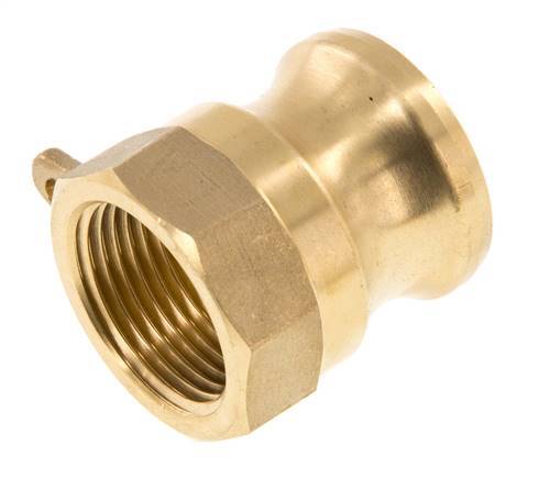 Camlock DN 20 (3/4'') Messing-Kupplung Rp 3/4'' Innengewinde Typ A MIL-C-27487