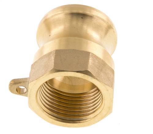 Camlock DN 20 (3/4'') Messing-Kupplung Rp 3/4'' Innengewinde Typ A MIL-C-27487