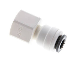 1/4'' x 1/4'' NPT Steckverschraubung mit Innengewinde POM EPDM [5 Stück]