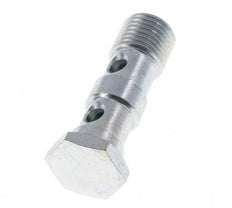 2-Wege-Hohlschraube aus verzinktem Stahl mit G1/4''-Außengewinde L41,5mm [2 Stück]
