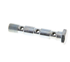 3-fach verzinkte Stahlhohlschraube mit G1/8'' Außengewinde L55mm [2 Stück]